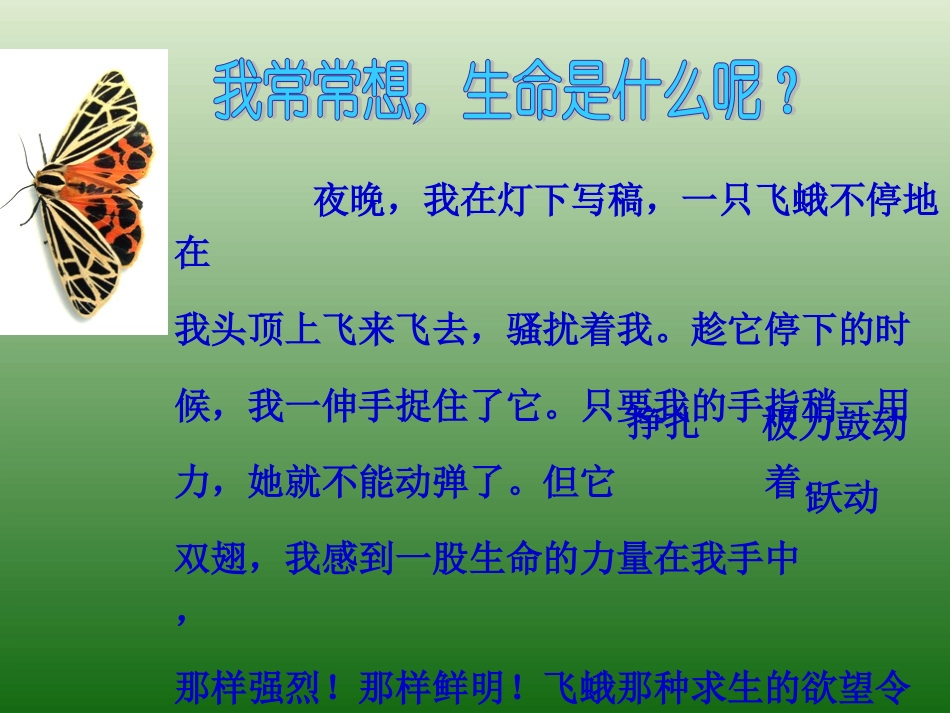 生命生命课件_第3页