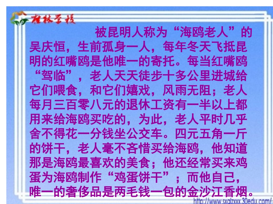 老人与海鸥2_第2页