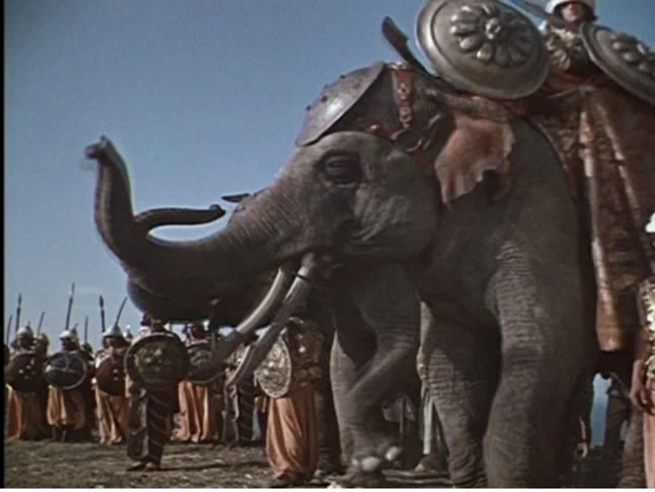 最后一头战象 (4)_第3页