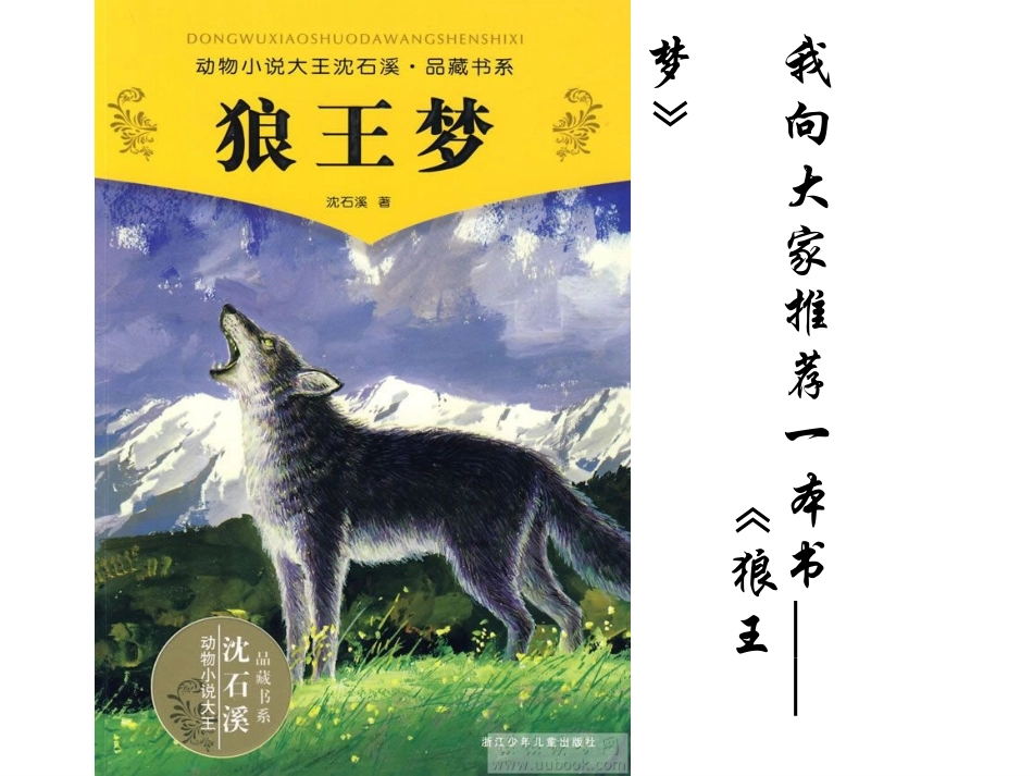阅读《狼王梦》_第2页