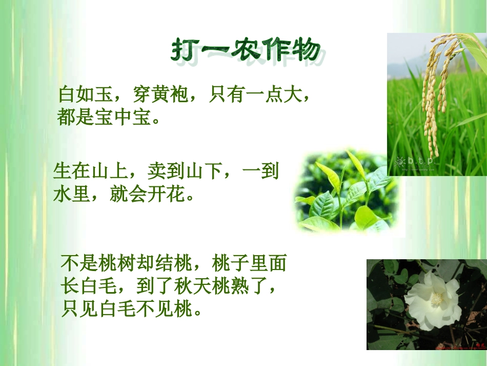 初一历史课件第十课_第1页