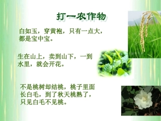 初一历史课件第十课