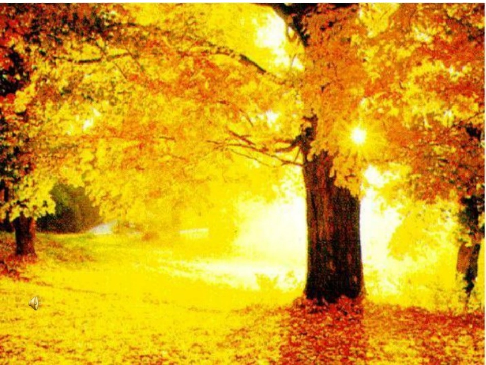 秋天的图画习作_第3页