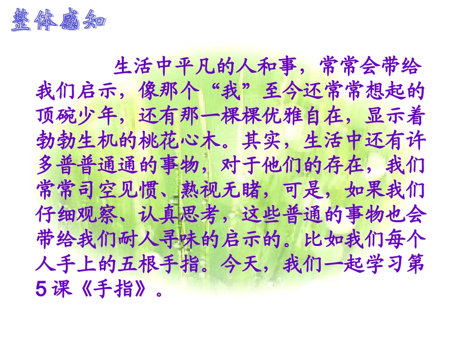 《手指》教学课件2_第3页