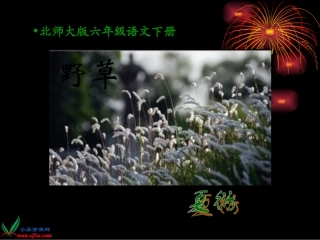 《野草》PPT课件