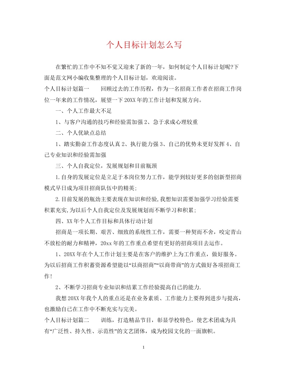 个人目标计划怎么写_第1页