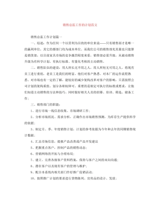 销售总监工作的计划范文