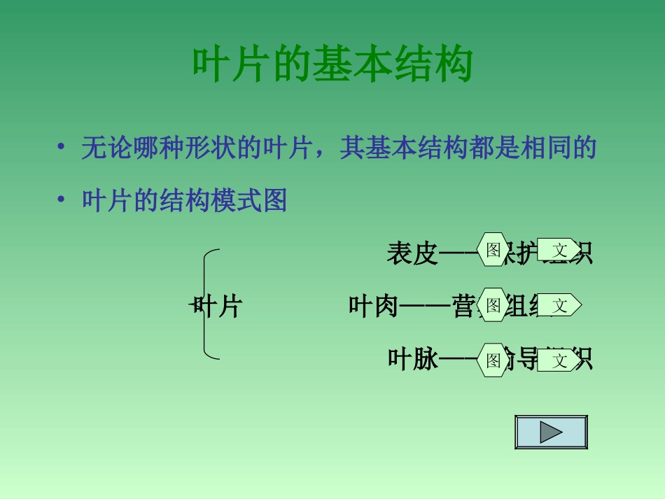 植物光合作用的场所_第2页