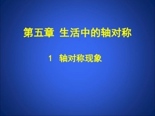 轴对称现象课件