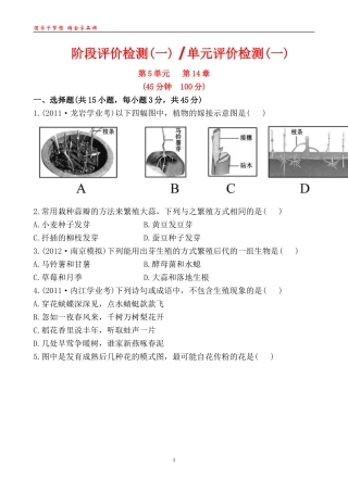 阶段评价检测(一)单元评价检测(一)