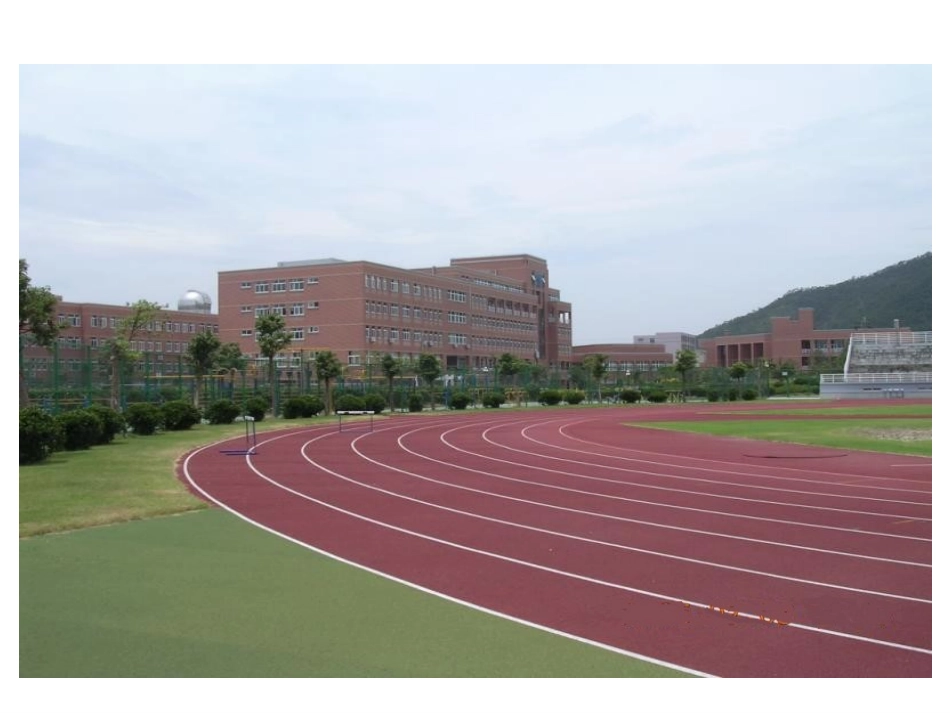 数学与体育_起跑线_PPT课件_第2页