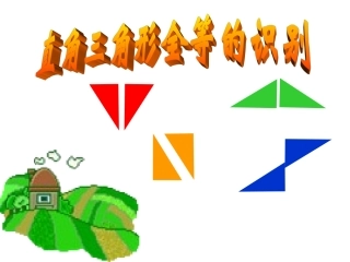 全等三角形的识别[四]