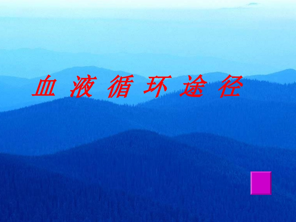 生物血液循环途径_第2页