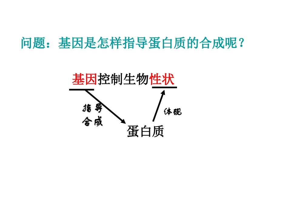 课件基因指导蛋白质的合成_第2页
