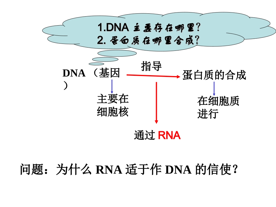 课件基因指导蛋白质的合成_第3页