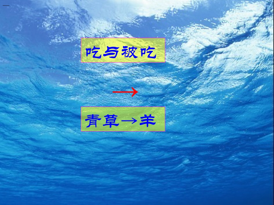 有趣的食物链_第3页