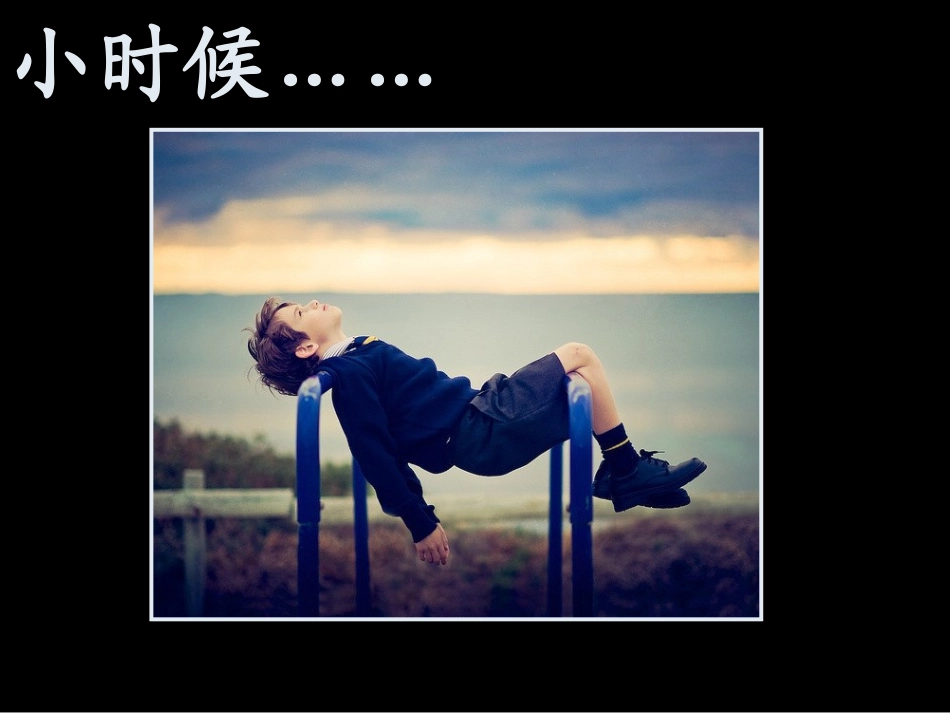 四一PPT我和鸟的故事_第2页