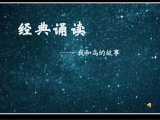 四一PPT我和鸟的故事