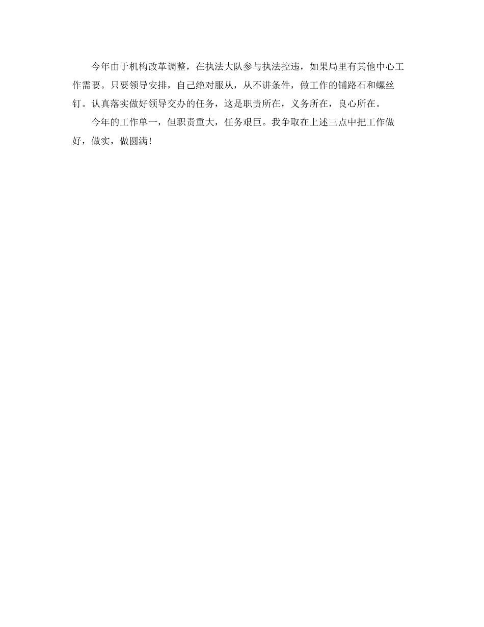 单位领导个人年度工作计划范文_第3页