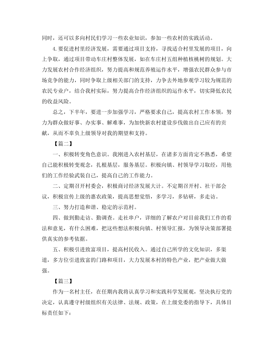 村主任年度工作计划2_第3页