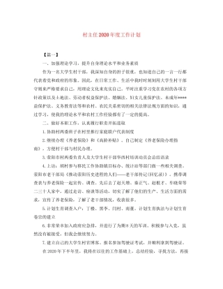 村主任年度工作计划2
