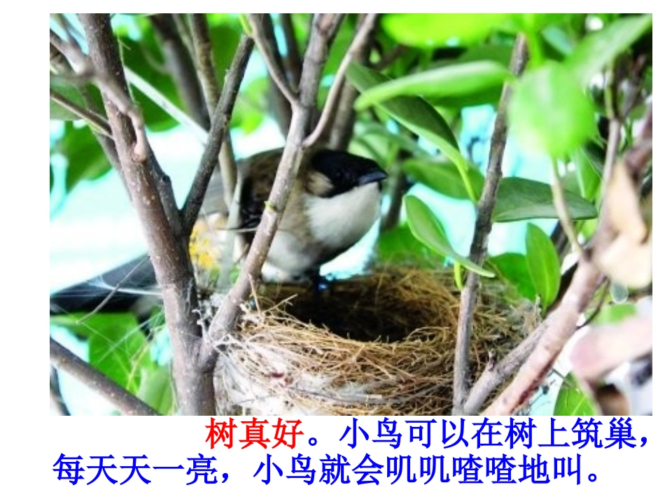 树真好13修改版_第2页