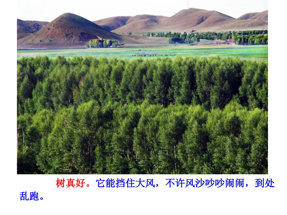 树真好13修改版_第3页