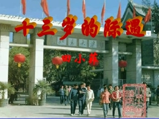 十三岁的际遇