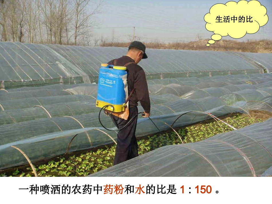 比的应用-课件_第3页