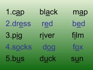 四个单元单词发音