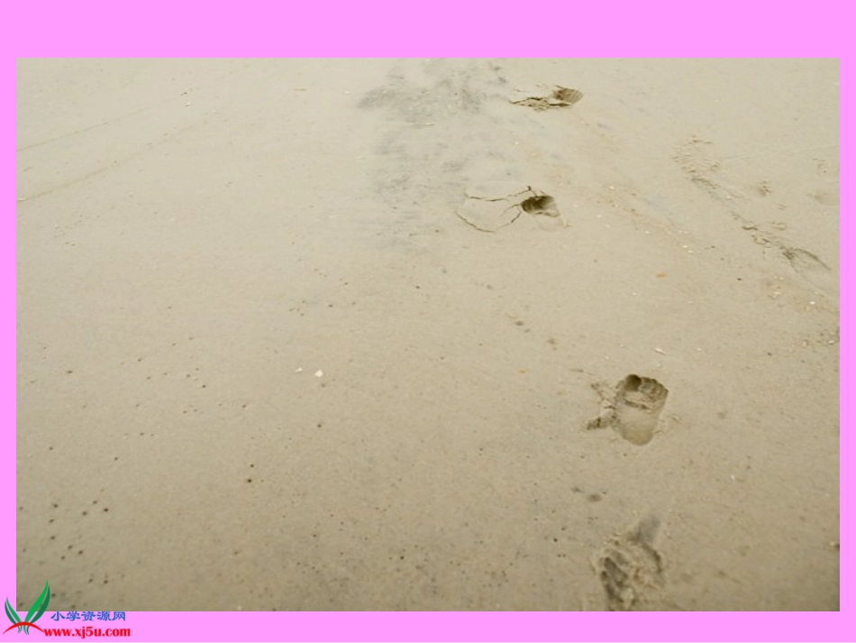 （北师大版）五年级数学上册课件成长的脚印1_第3页