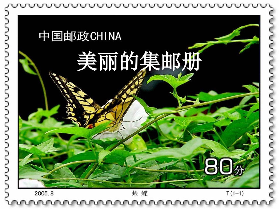 美丽的集邮册课件_第1页