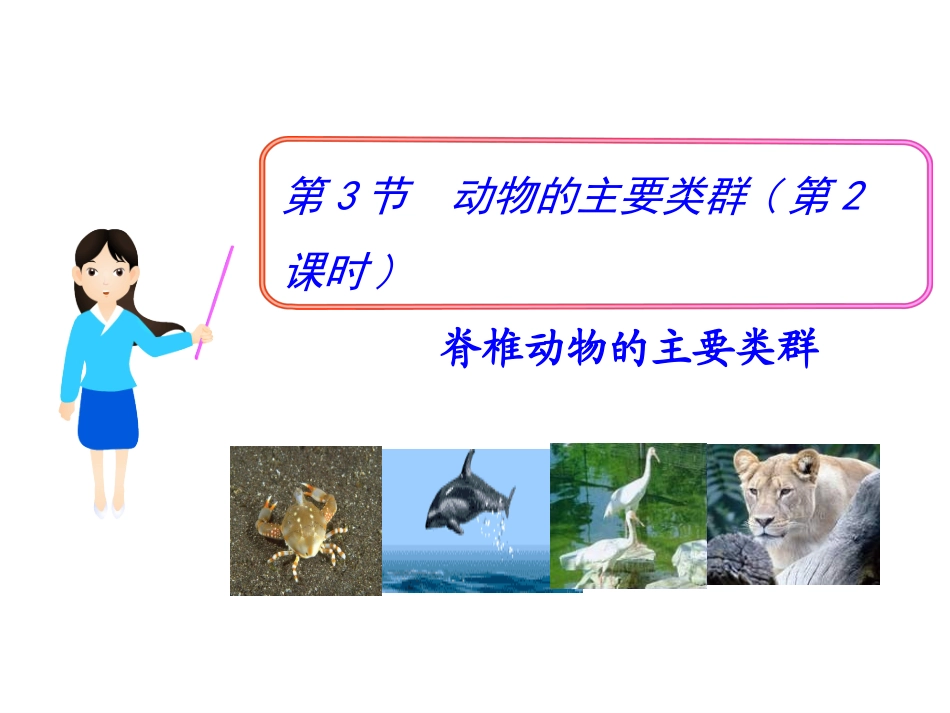 第22章第3节脊椎动物的主要类群（课件）_第1页