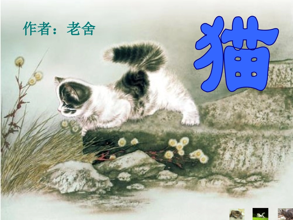 《猫》老舍(完美版)_第1页