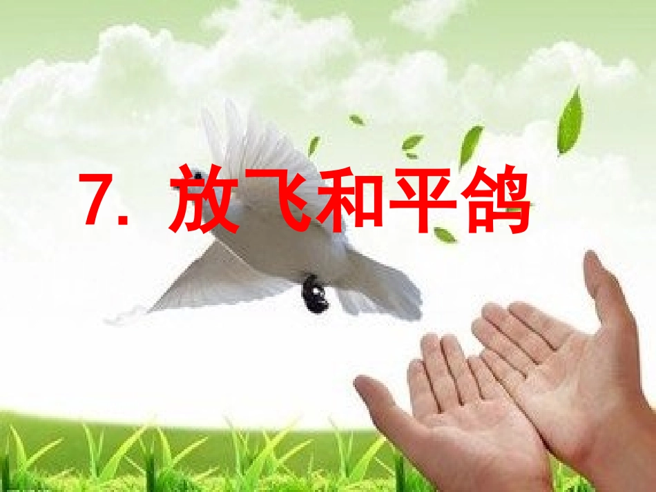 品社课PPT_第1页
