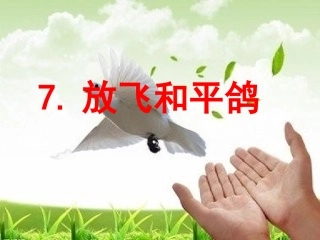 品社课PPT