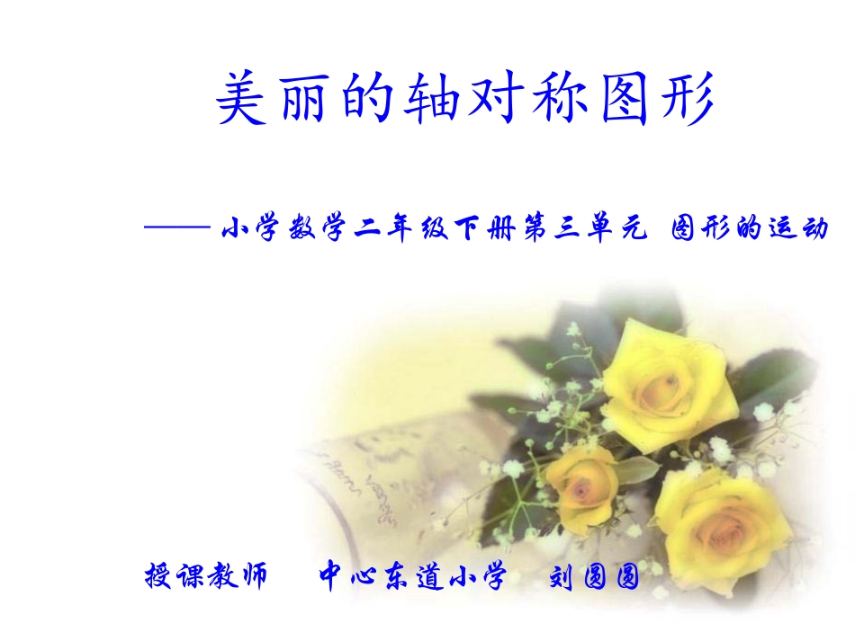 美丽的轴对称图形_第1页