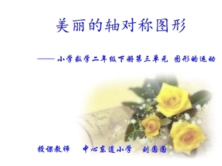 美丽的轴对称图形