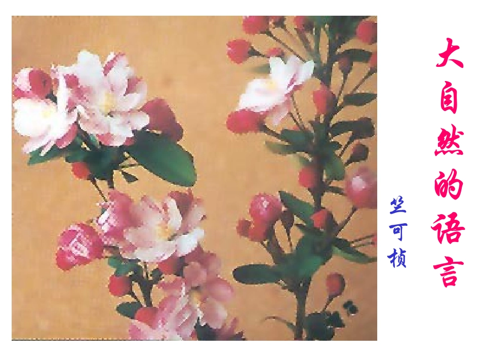 人教版八年级语文上册课件—大自然的语言_第1页