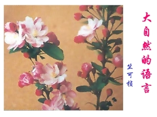 人教版八年级语文上册课件—大自然的语言