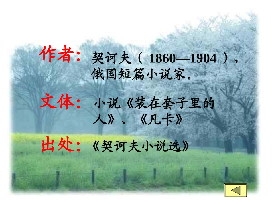 九年级语文变色龙3_第2页