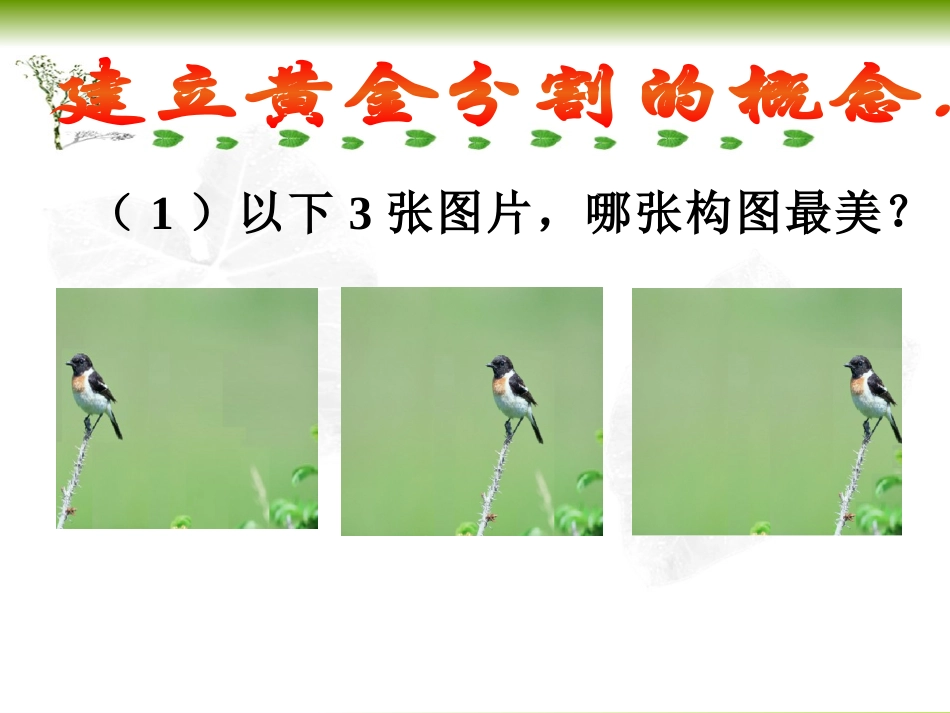 黄金分割（彭立萍）_第2页