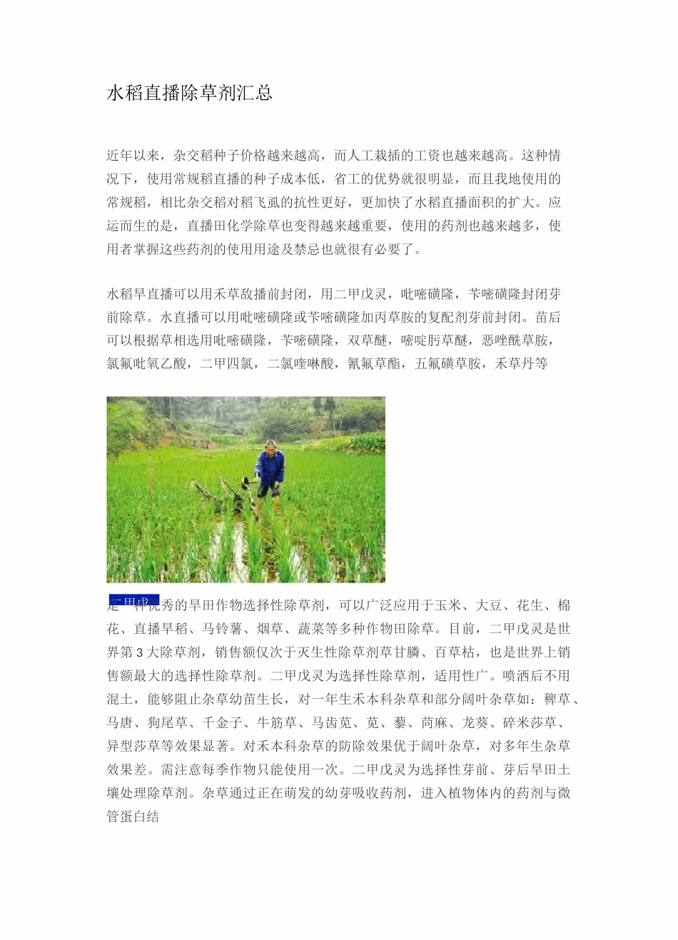 水稻直播除草剂汇总_第1页