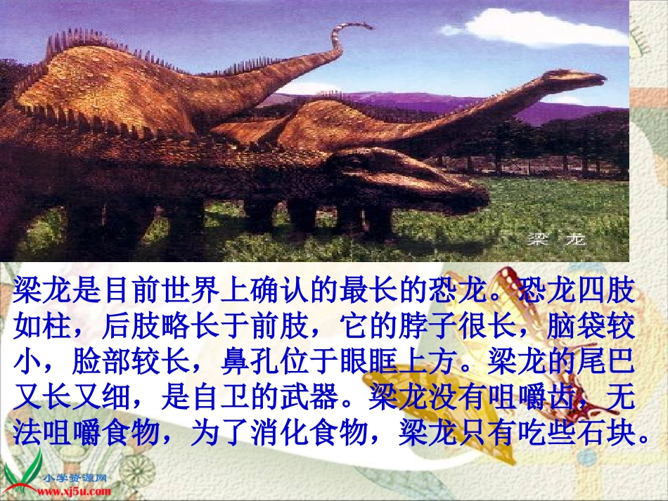 （苏教版）六年级科学下册课件消失了的恐龙3_第3页