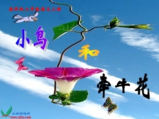 （教科版）二年级语文上册课件小鸟和牵牛花1