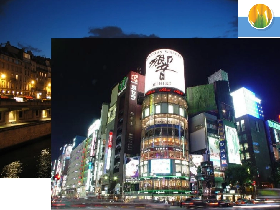 （用）湘教版必修2第二章第二节城市化过程与特点_第2页