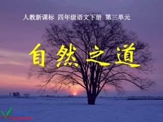 （人教新课标）四年级语文下册课件自然之道2