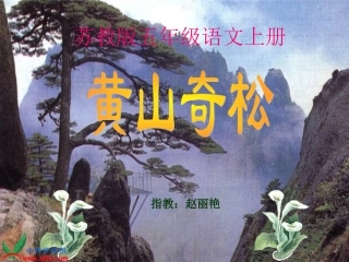 黄山奇松改好