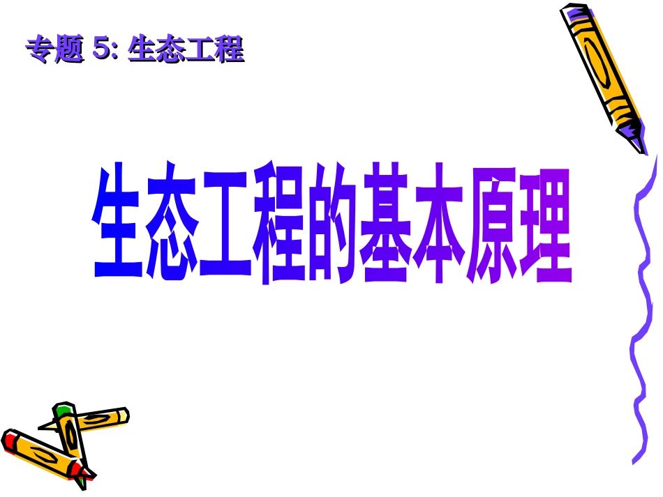 高二生物选修三第五专题《生态工程的基本原理》课件-新人教_第1页