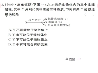 高中生物一轮复习课件《细胞中的糖类和脂质》1-2
